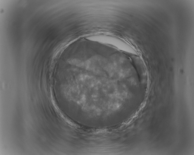 X0000079320097200612151827