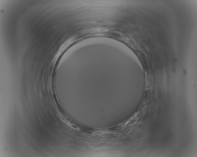 X0000079320099200612151827