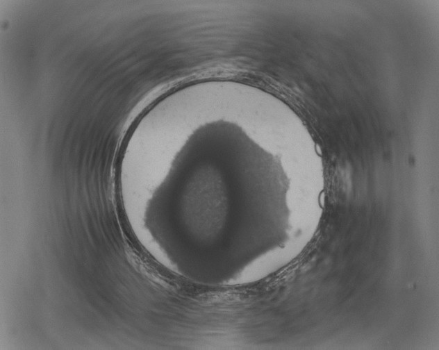 X0000079320100200612151827