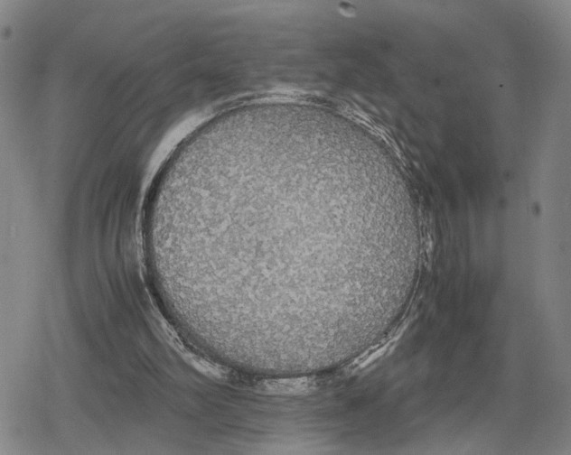 X0000079320102200612151827