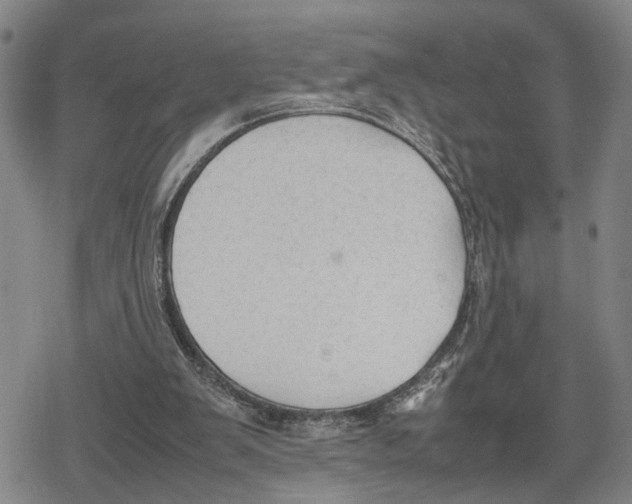 X0000079320103200612151827