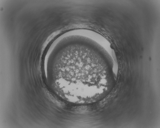 X0000079320104200612151827