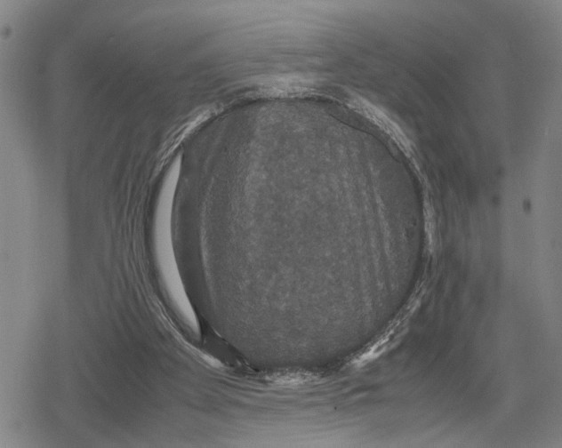 X0000079320105200612151827