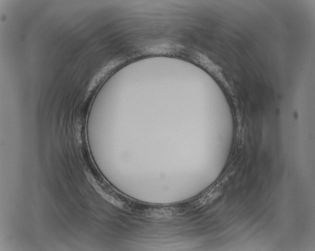 X0000079320106200612151827