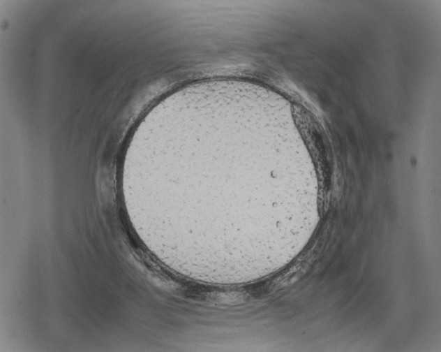 X0000079320107200612151827