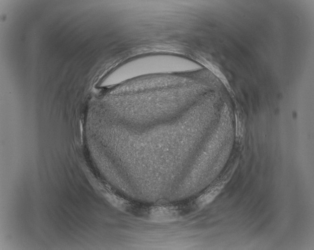 X0000079320109200612151827