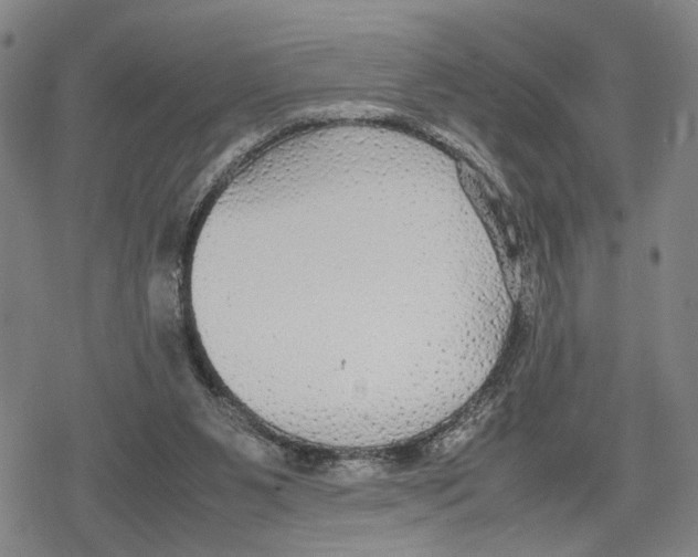 X0000079320111200612151827