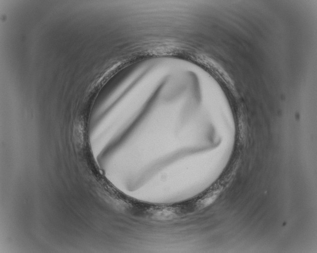 X0000079320113200612151827