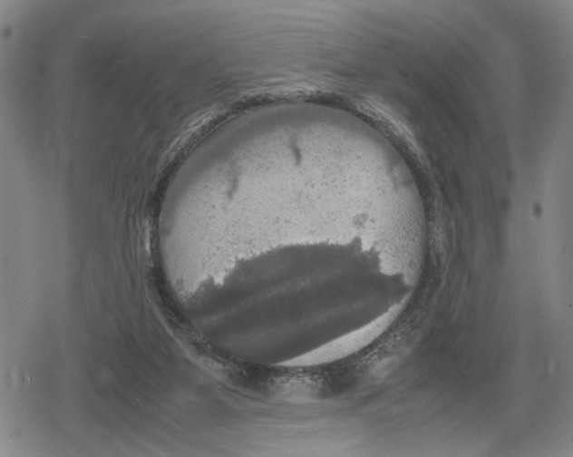 X0000079320115200612151827