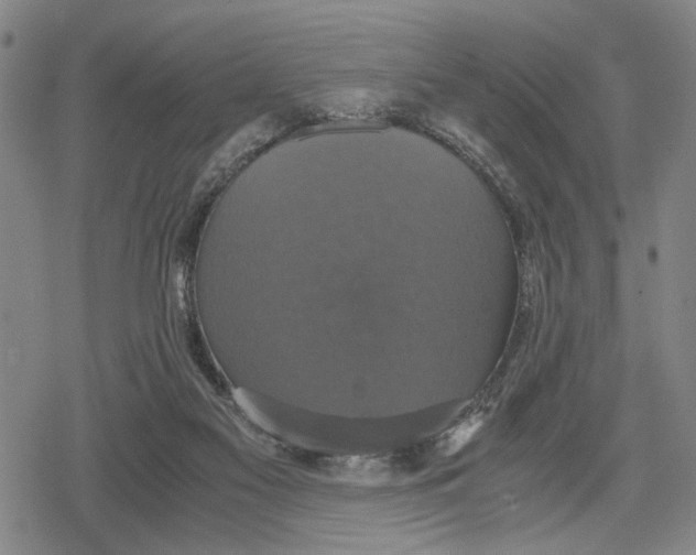 X0000079320117200612151827