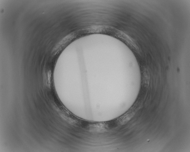 X0000079320118200612151827