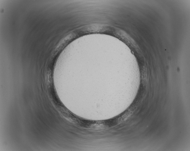 X0000079320119200612151827