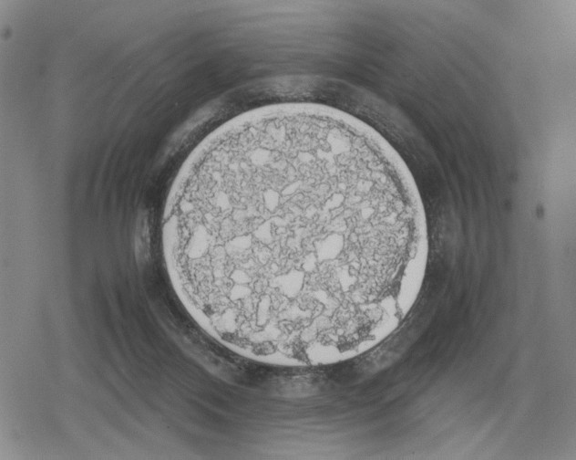 X0000079320120200612151827