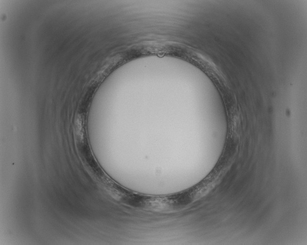 X0000079320121200612151827