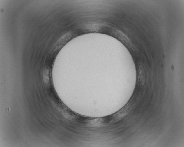 X0000079320122200612151827