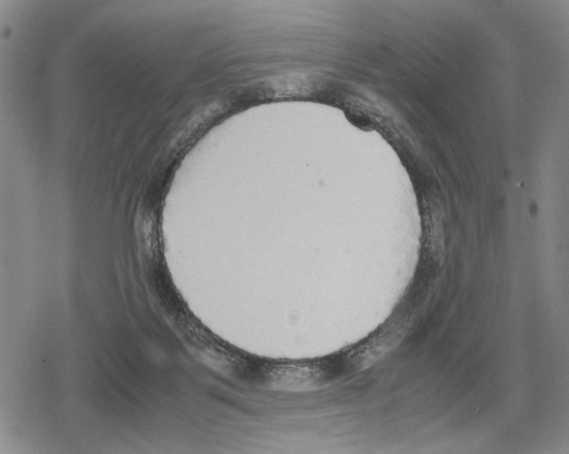 X0000079320123200612151827