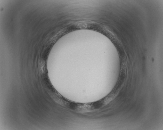 X0000079320125200612151827