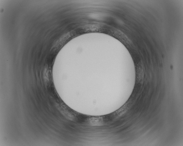 X0000079320126200612151827