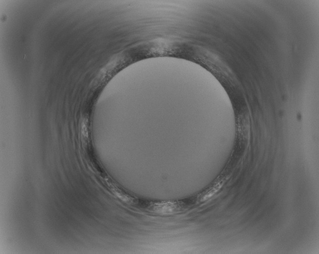 X0000079320127200612151827