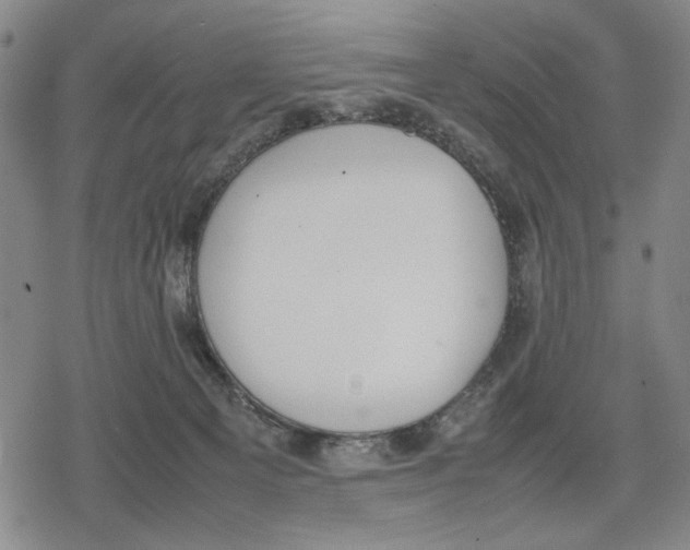 X0000079320129200612151827