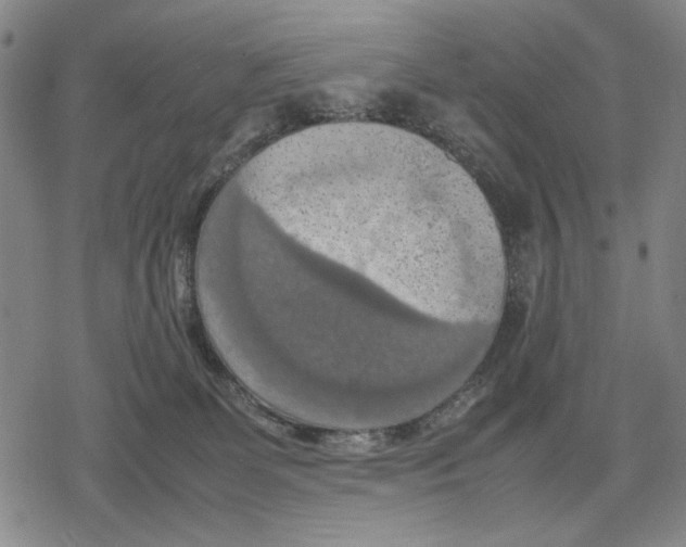 X0000079320131200612151827