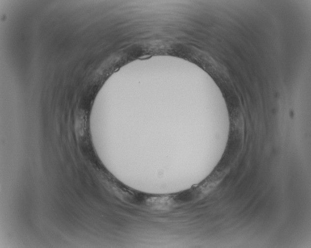 X0000079320133200612151827