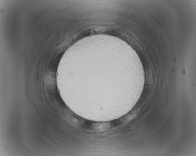 X0000079320135200612151827