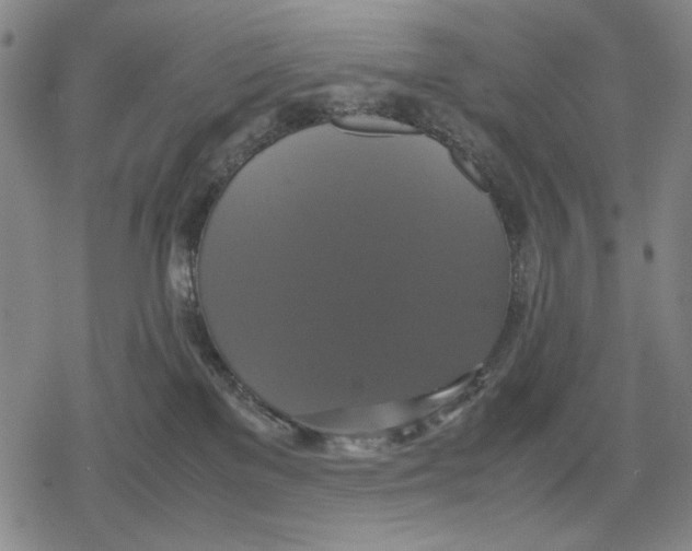 X0000079320137200612151827