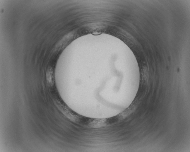 X0000079320138200612151827