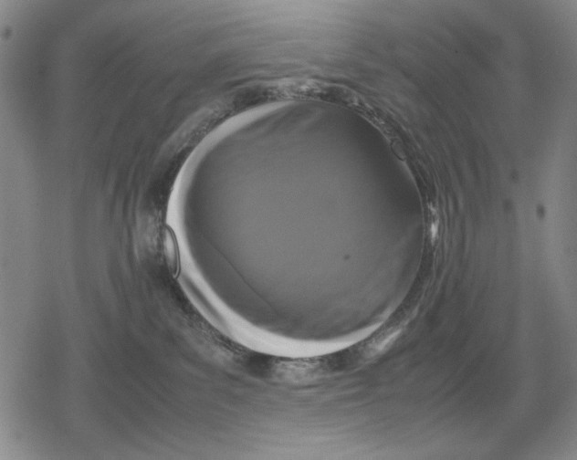 X0000079320139200612151827