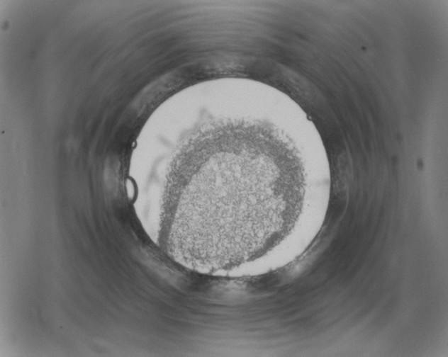 X0000079320140200612151826