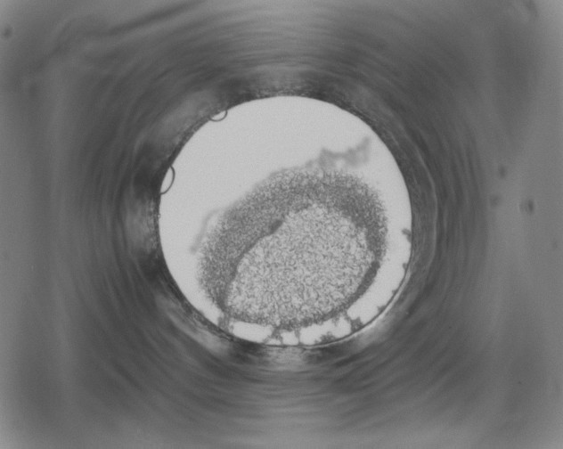 X0000079320144200612151826