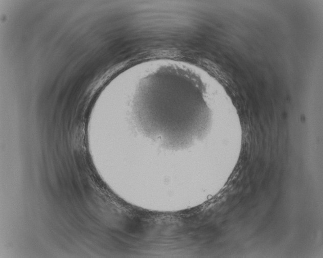 X0000079320146200612151826