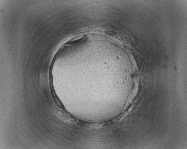 X0000079320148200612151826