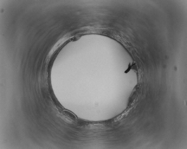 X0000079320150200612151826