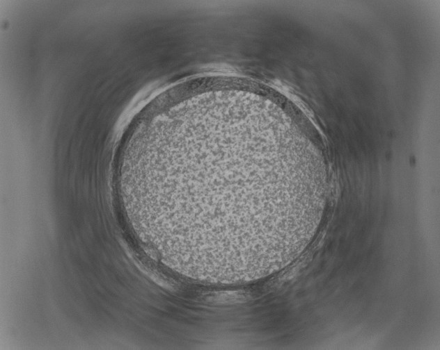 X0000079320151200612151826