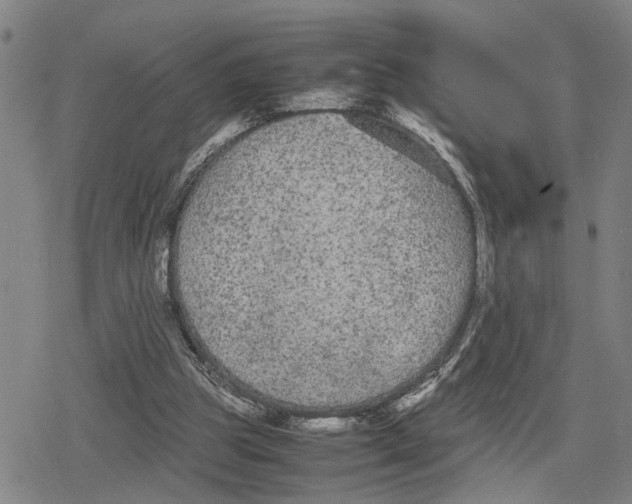 X0000079320153200612151826