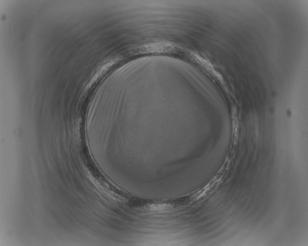 X0000079320154200612151826