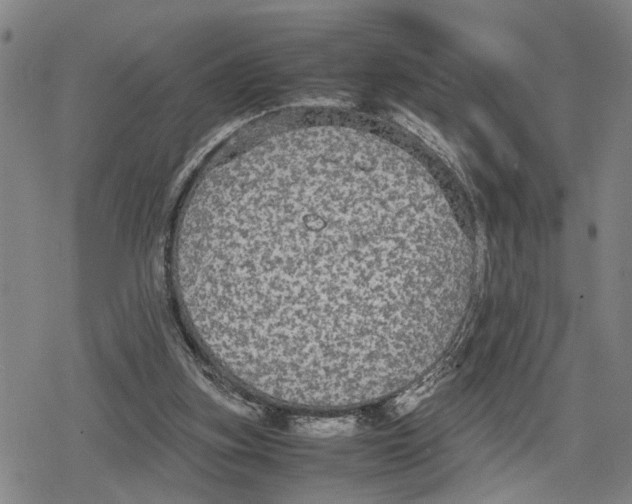 X0000079320155200612151826