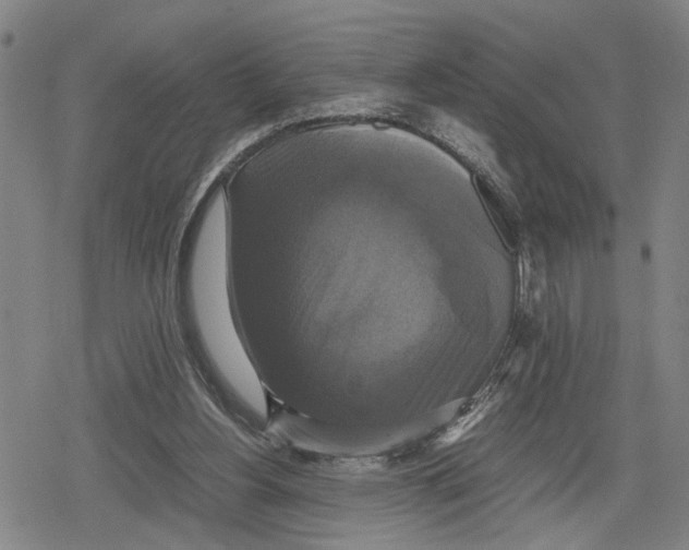 X0000079320156200612151826