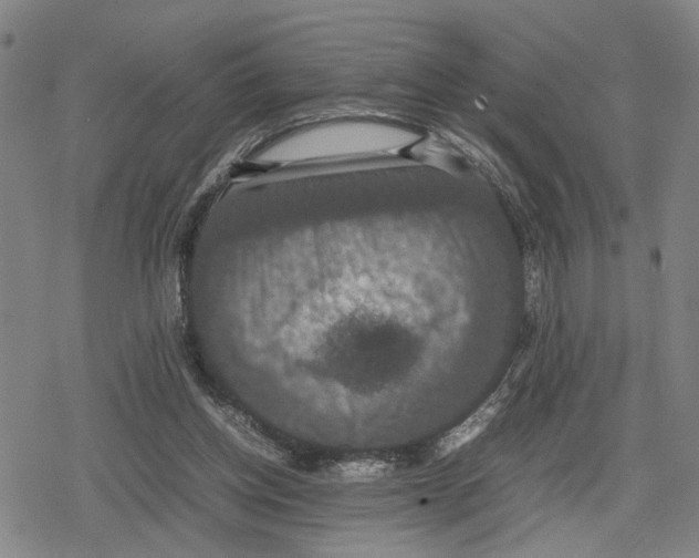 X0000079320158200612151826