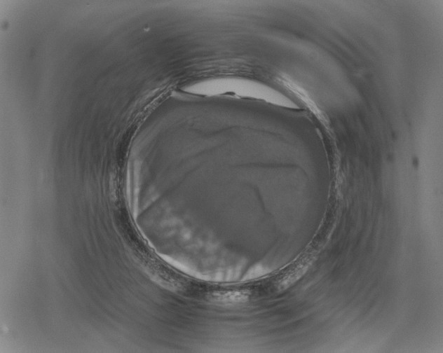 X0000079320161200612151826