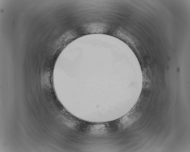 X0000079320162200612151826