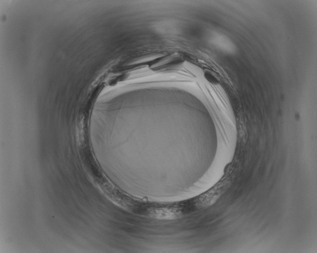 X0000079320163200612151826