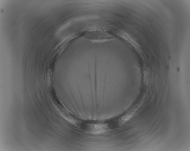 X0000079320165200612151826