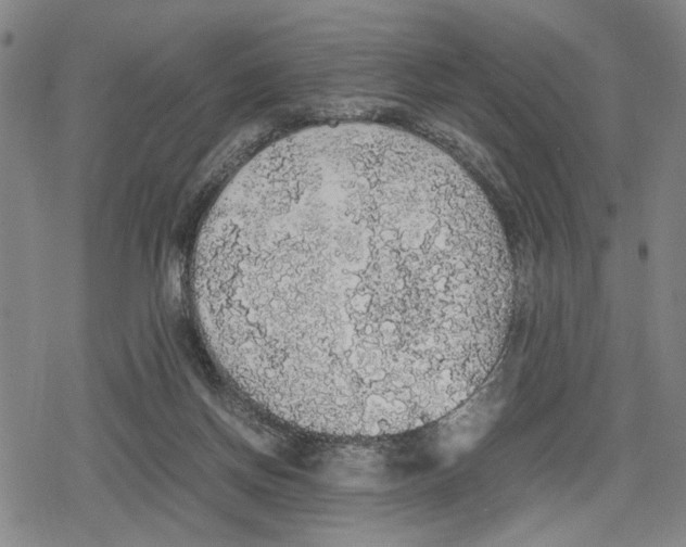 X0000079320166200612151826