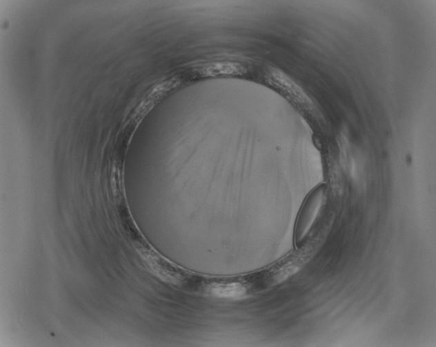 X0000079320169200612151826