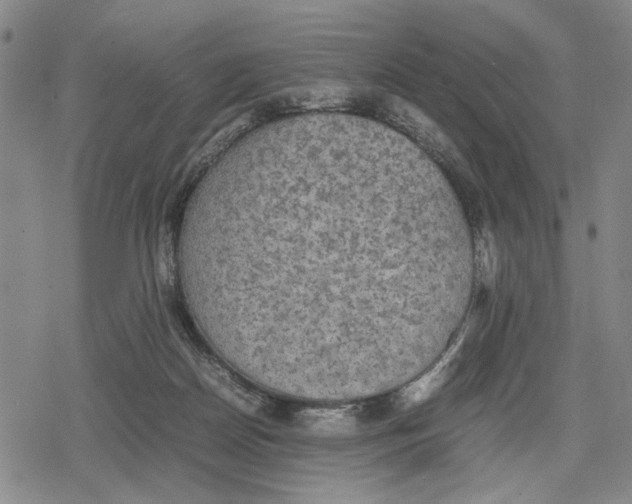 X0000079320170200612151826