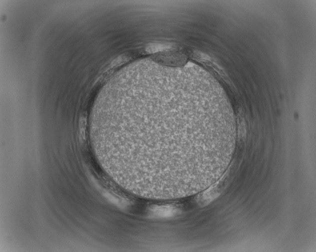 X0000079320171200612151826