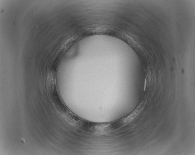 X0000079320172200612151826